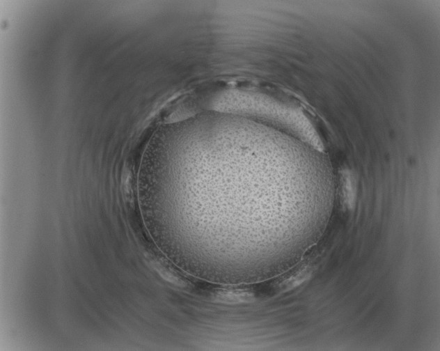 X0000084030619200703022124