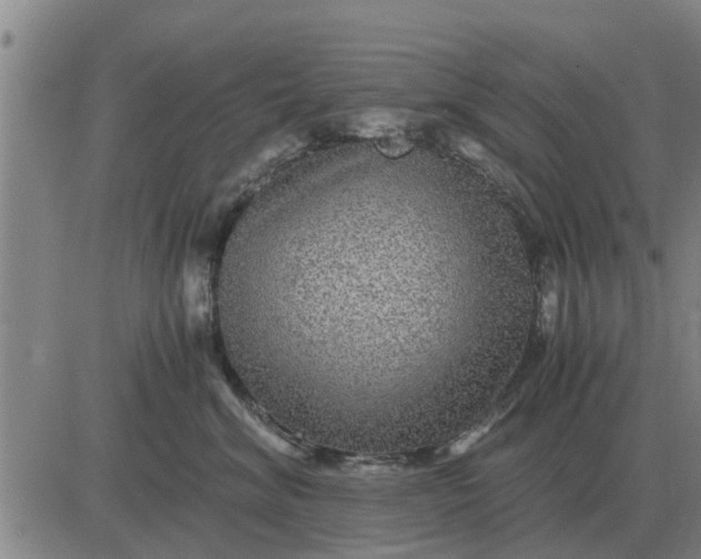 X0000084030620200703022124