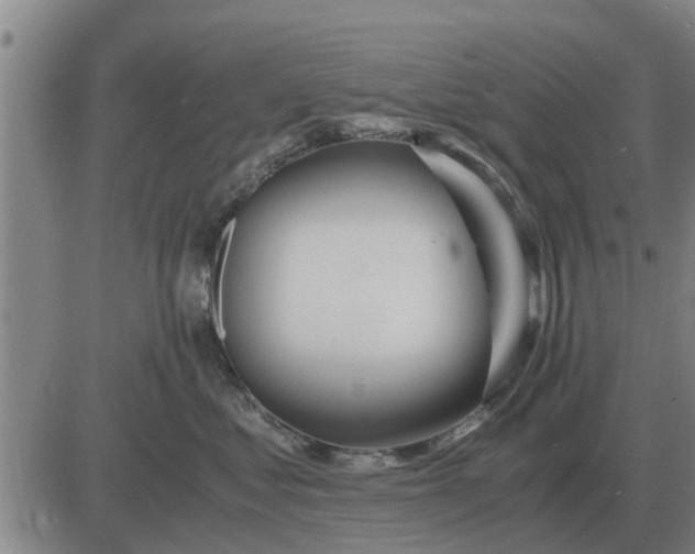 X0000084030621200703022124