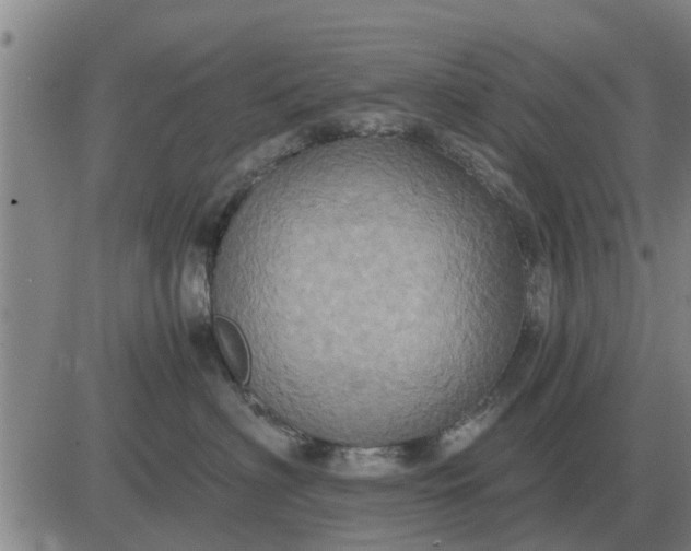 X0000084030622200703022124