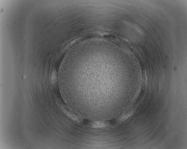 X0000084030623200703022124