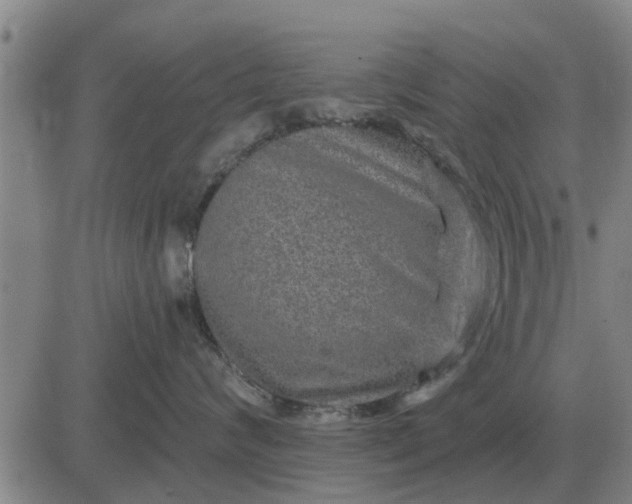 X0000084030624200703022124