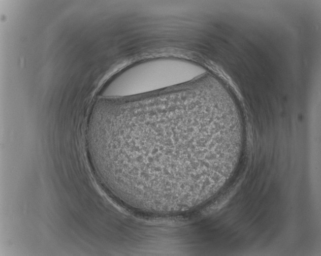 X0000084030625200703022123