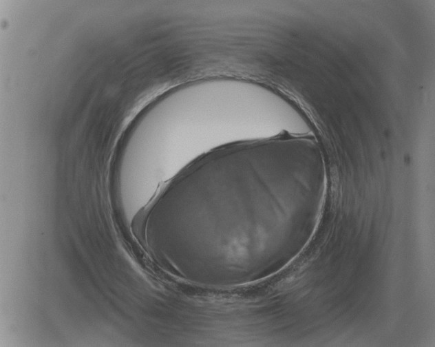 X0000084030626200703022123