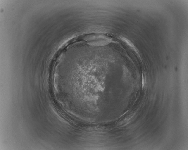 X0000084030627200703022123