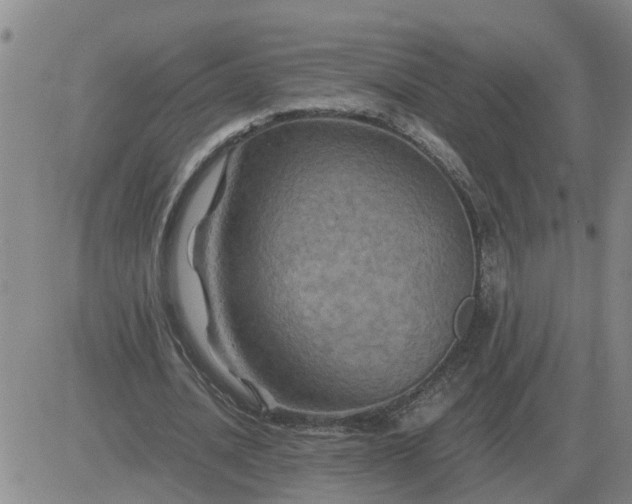 X0000084030628200703022123