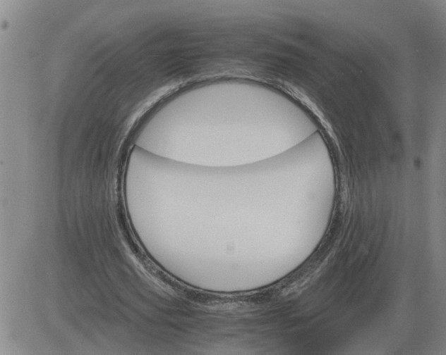 X0000084030629200703022123