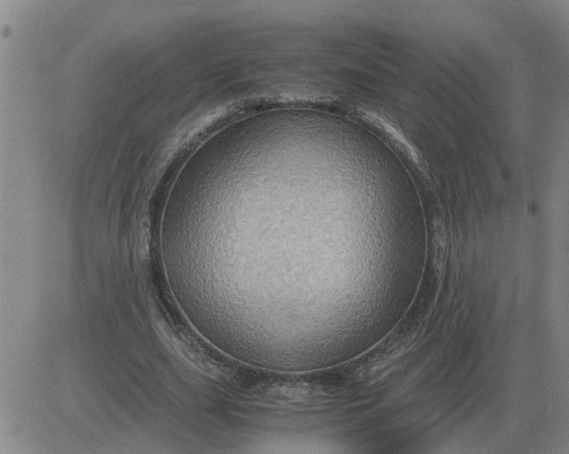 X0000084030631200703022123