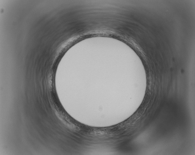 X0000084030632200703022123