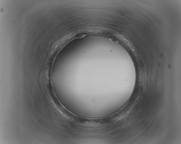 X0000084030633200703022123