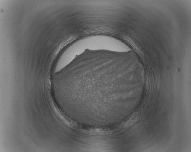 X0000084030634200703022123