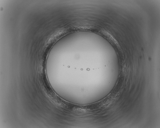 X0000084030635200703022123