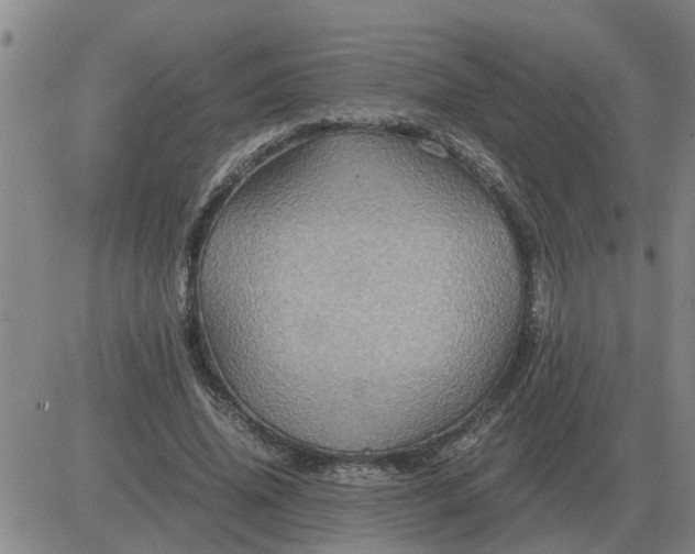 X0000084030636200703022123