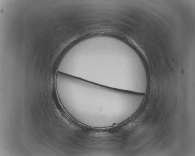 X0000084030637200703022123