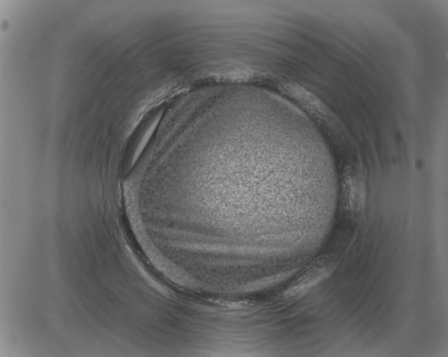 X0000084030638200703022123