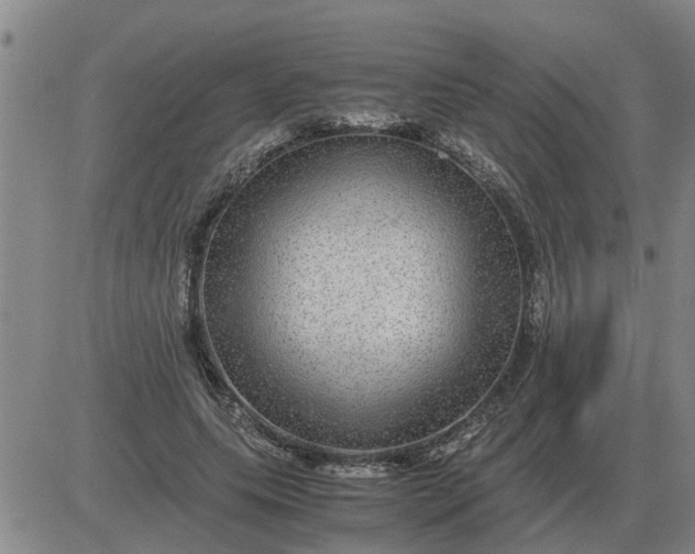 X0000084030639200703022124