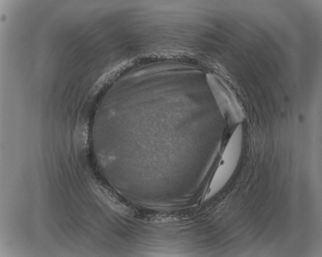 X0000084030640200703022124