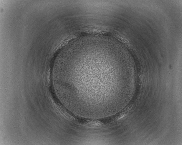 X0000084030642200703022124