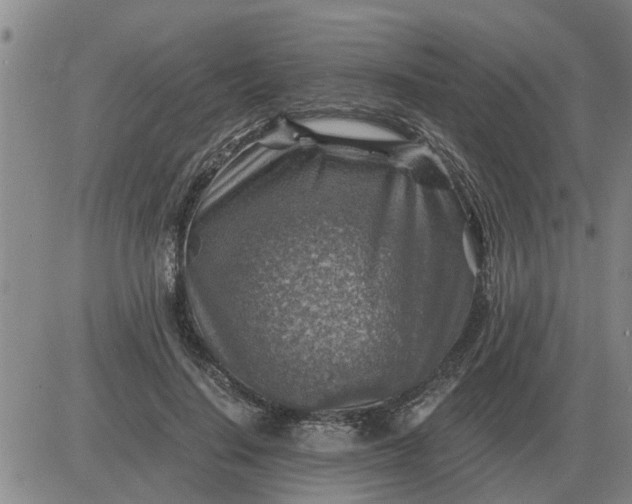 X0000084030644200703022124