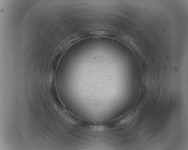 X0000084030645200703022124