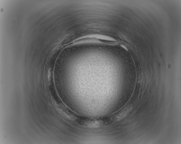 X0000084030646200703022124