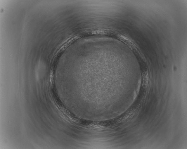 X0000084030648200703022124