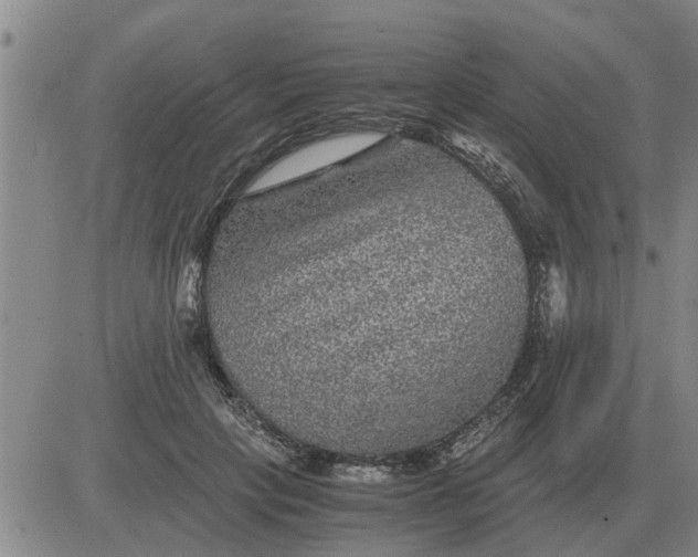 X0000084030649200703022124