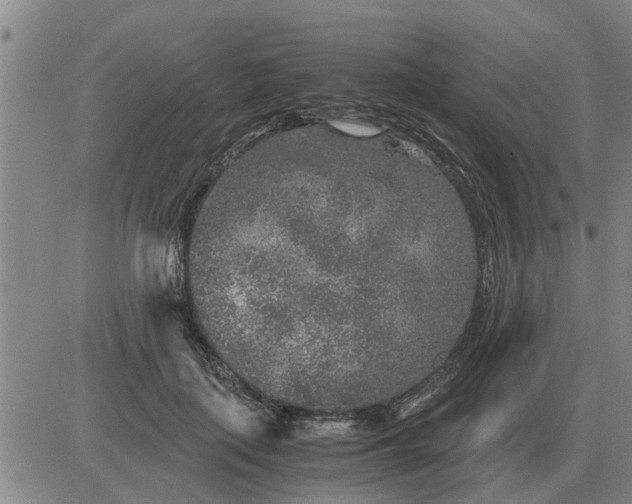 X0000084030651200703022124