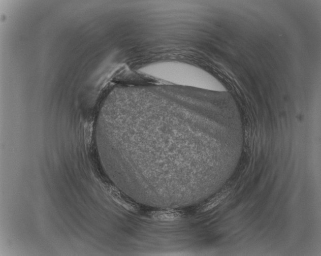 X0000084030652200703022124