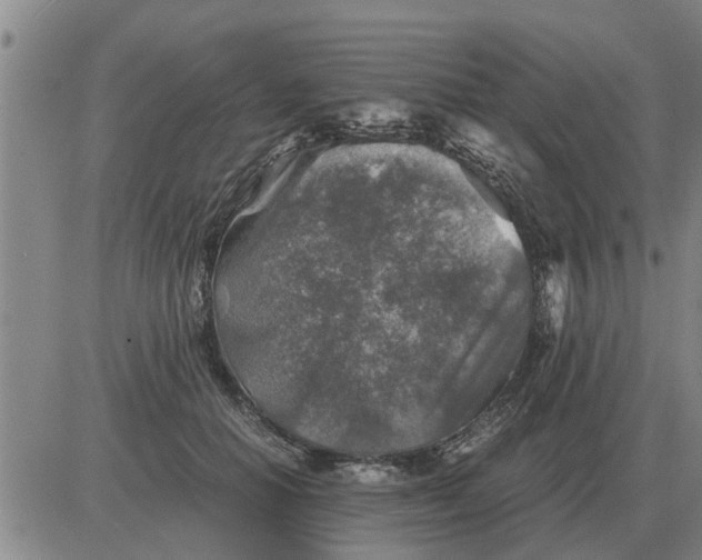 X0000084030654200703022124