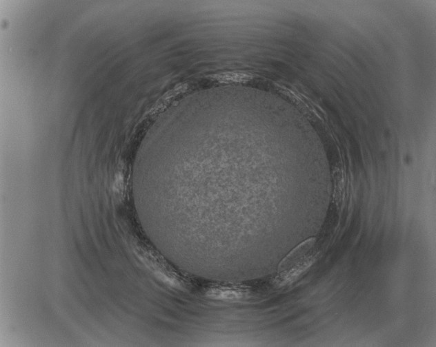 X0000084030655200703022124