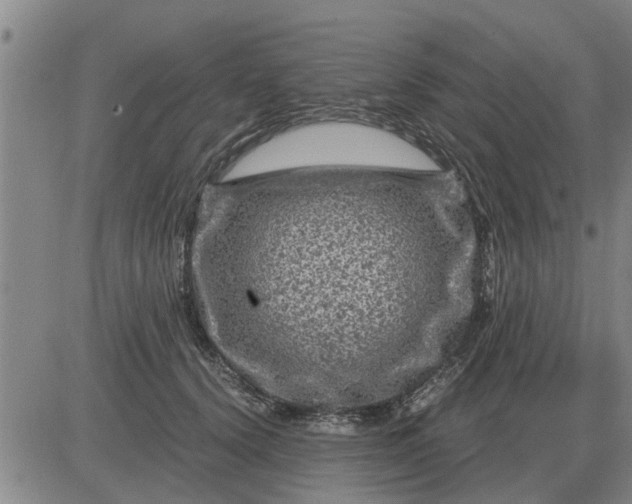 X0000084030656200703022124