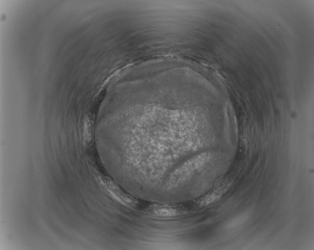 X0000084030658200703022124