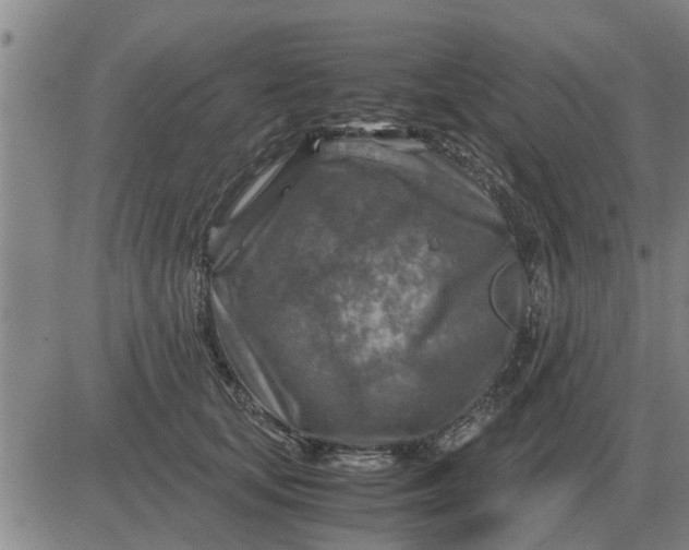 X0000084030659200703022124