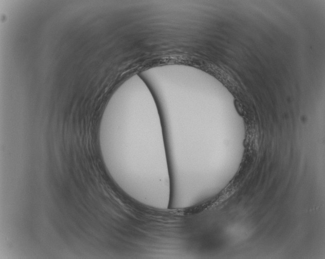 X0000084030660200703022124