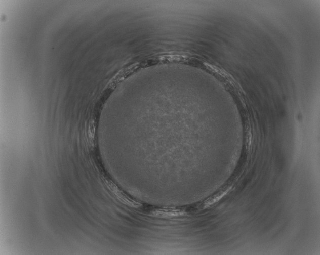 X0000084030661200703022124