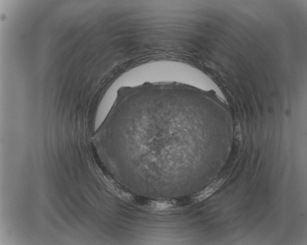 X0000084030662200703022124