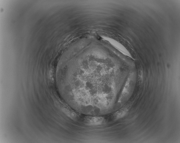 X0000084030663200703022124