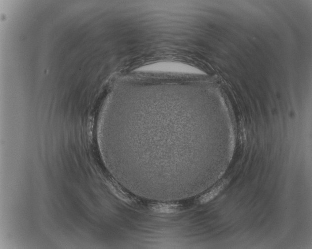 X0000084030664200703022124