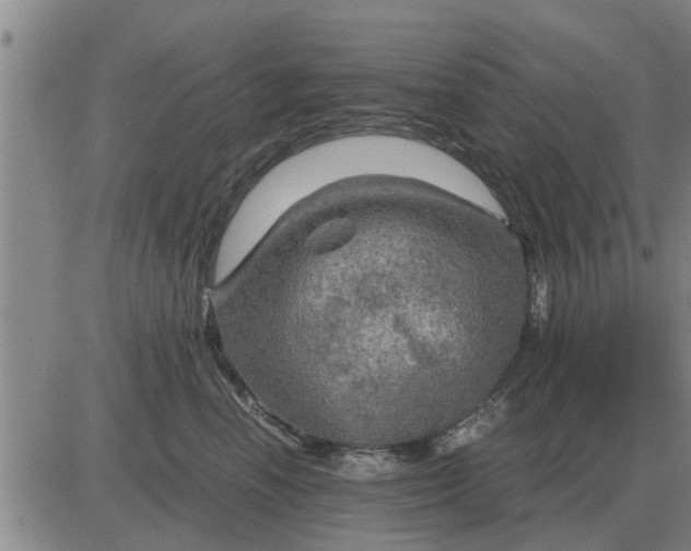 X0000084030666200703022124