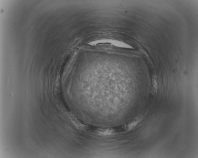 X0000084030667200703022124