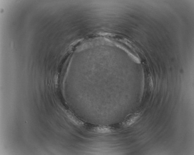 X0000084030668200703022124