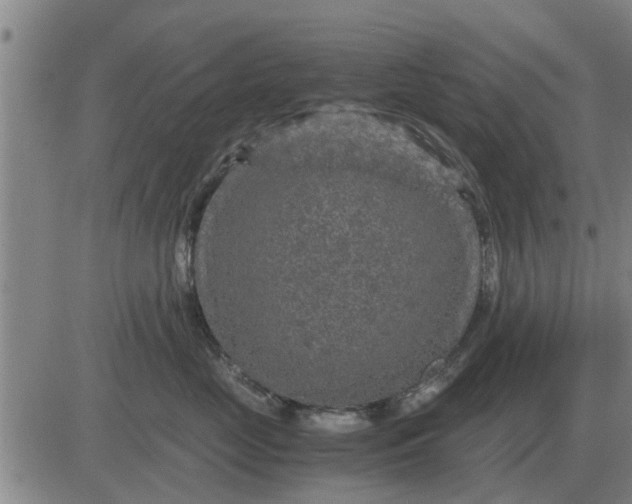 X0000084030669200703022124