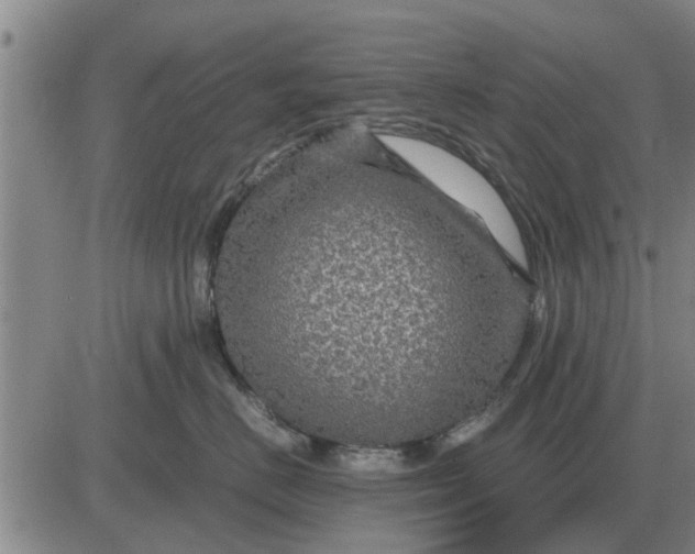 X0000084030670200703022124