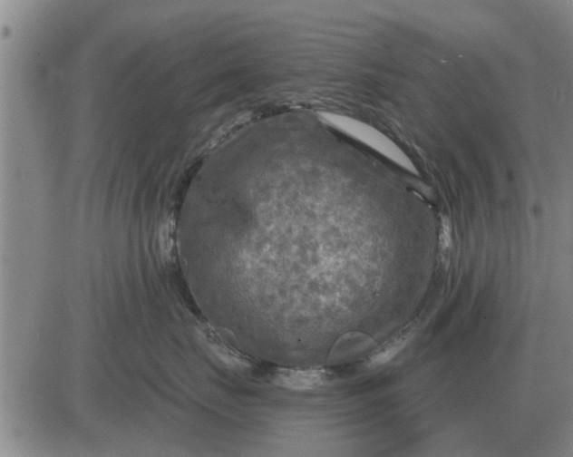 X0000084030671200703022124