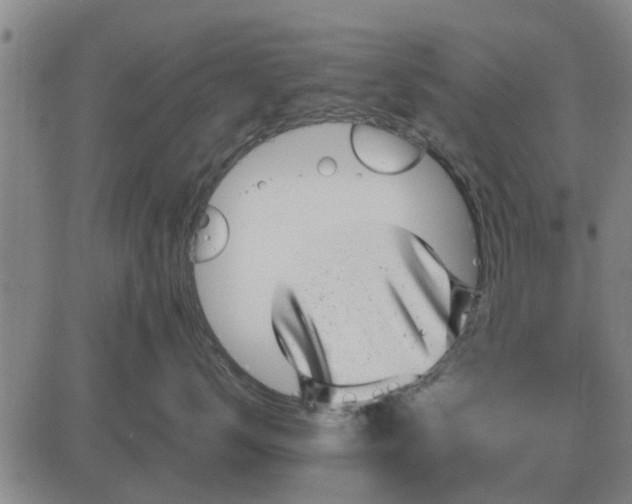 X0000084030672200703022124