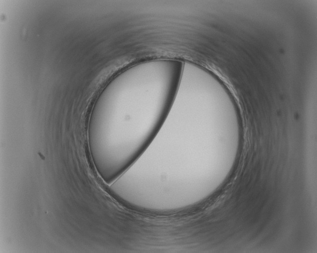 X0000084030673200703022123