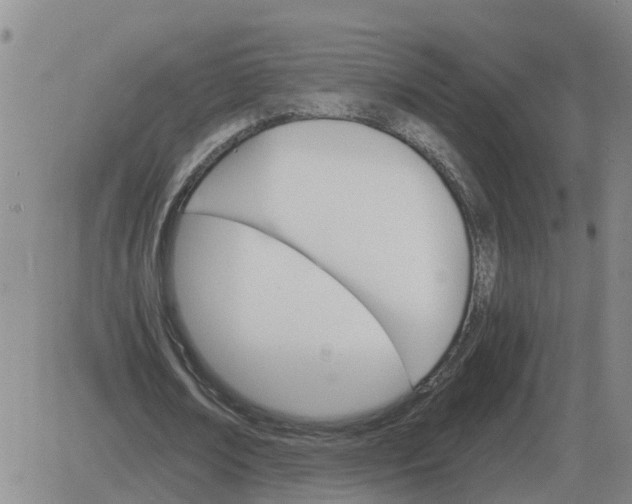 X0000084030674200703022123