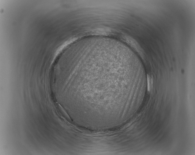 X0000084030675200703022123