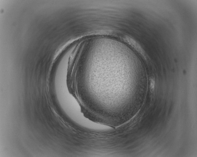 X0000084030676200703022123